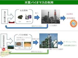 019pd-biomass