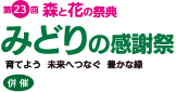 midori