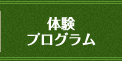 体験プログラム
