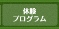 体験プログラム