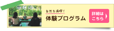 体験プログラム