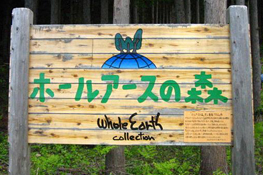 間伐材をノベルティ用の割り箸や看板などとして店頭と連携して有効利用
