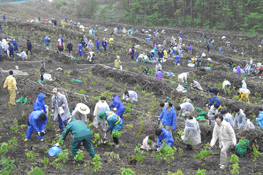 社員や地元・一般の方などによる植樹