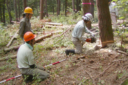 『KOA森林塾』で学ぶ間伐技術