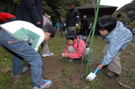 横浜市氷鳥沢市民の森保全活動