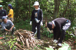 能登半島・珠洲市の保全林で間伐を行う三井物産の社員と家族