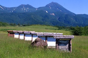 しれとこ100平方メートル運動(北海道) 1985年