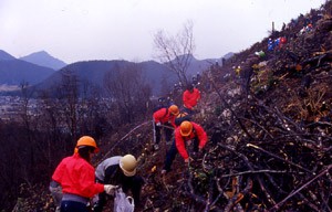山火事跡地でのボランティアによる植樹(岐阜)