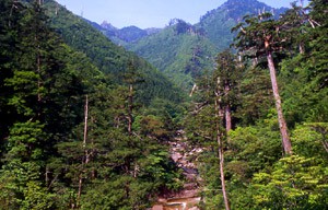 屋久島