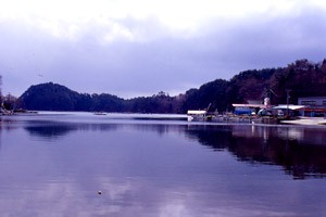 気仙沼湾(宮城)
