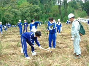 中学生たちによる植樹(愛媛)