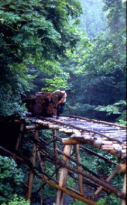 木馬(きんま)による木材の 運び出し(栃木 1985年)