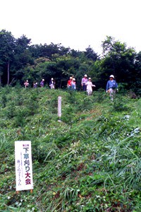 森づくりフォーラムが主催して 多くの市民が参加した「下草刈り大会」